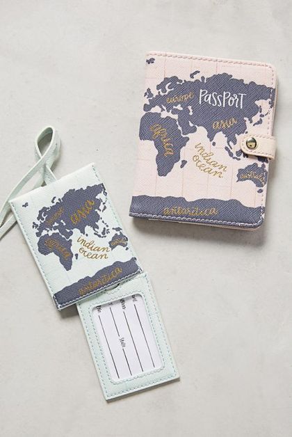 Passport holder and luggage tag